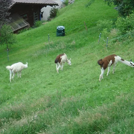 Seeblick Mit Anbindung An Ein 4-sterne-hotel