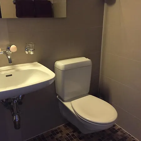 Apartmanhotel Seeblick Mit Anbindung An Ein 4-sterne-hotel Beatenberg
