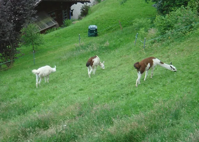 Seeblick Mit Anbindung An Ein 4-sterne-hotel