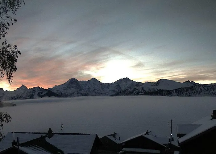Lejlighedshotel Seeblick Mit Anbindung An Ein 4-sterne-hotel Beatenberg