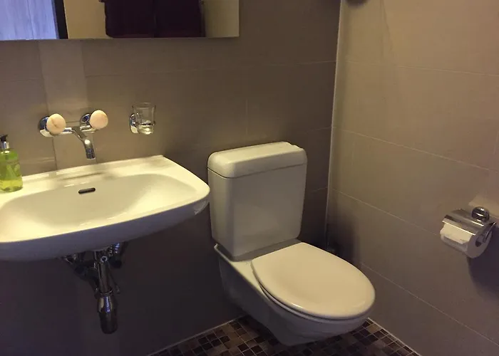 Lejlighedshotel Seeblick Mit Anbindung An Ein 4-sterne-hotel Beatenberg