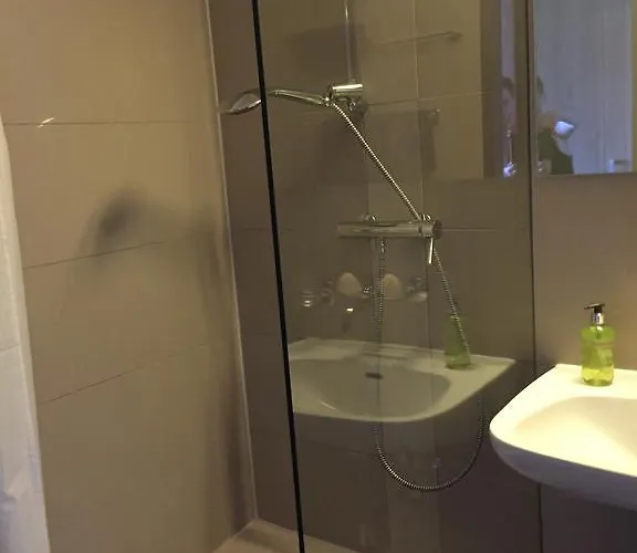 Apartmanhotel Seeblick Mit Anbindung An Ein 4-sterne-hotel Beatenberg